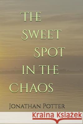 The Sweet Spot in the Chaos Jonathan Daniel Potter 9781962934015