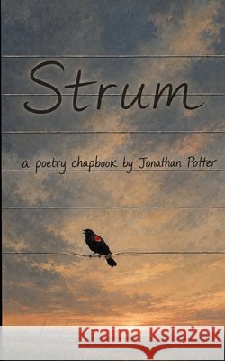 Strum: A Poetry Chapbook Jonathan Daniel Potter 9781962934077