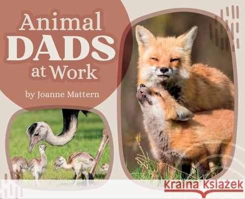 Animal Dads at Work Joanne Mattern Tara Raymo Precious McKenzie 9781962981200