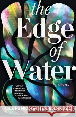 The Edge of Water Olufunke Grace Bankole 9781963108057 Tin House Books