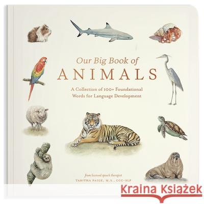 Our Big Book of Animals: A Foundational Language Vocabulary Board Book for Little Animal Lovers Tabitha Paige 9781963183566