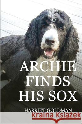 Archie Finds His Sox Harriet Goldman 9781963250725 Amazon Kindle Direct Publisher