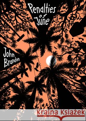 Solstice John Brandon 9781963270075 McSweeney's