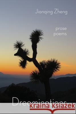 Dreaminations: Prose Poems Jianqing Zheng 9781963695496 Madville Publishing LLC