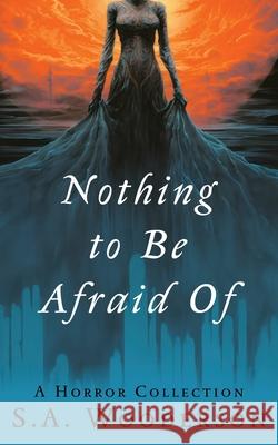 Nothing To Be Afraid Of Richard Mueller S. a. Wooderson 9781963864007