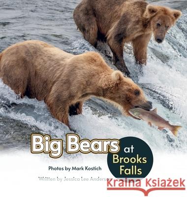 Big Bears at Brooks Falls Jessica Lee Anderson Mark Kostich 9781964078359 Ao Press