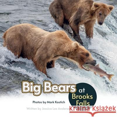 Big Bears at Brooks Falls Jessica Lee Anderson Mark Kostich 9781964078366 Ao Press