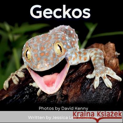 Geckos: Get to Know More About These Vocal Lizards! Jessica Lee Anderson David Kenny 9781964078540