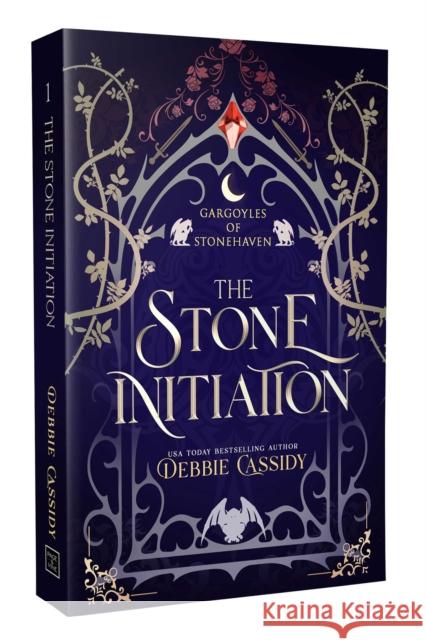 The Stone Initiation Debbie Cassidy 9781964264707