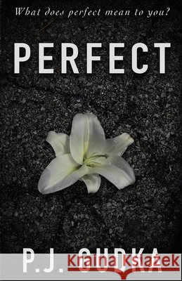 Perfect P. J. Gudka 9781964885636 Wild Ink Publishing LLC