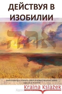 Russian Edition - Operating in Abundance Adonijah O. Ogbonnaya 9781964959023