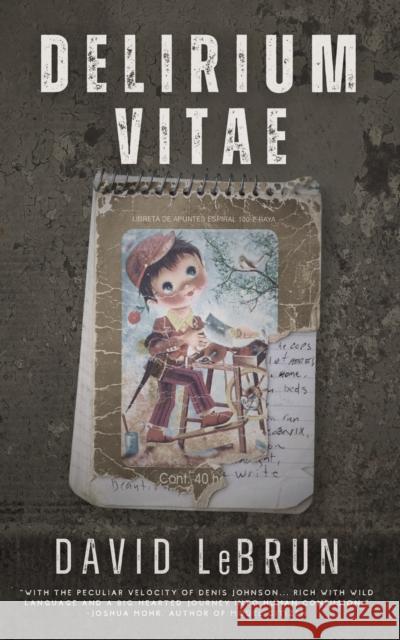 Delirium Vitae David LeBrun 9781965199022 Tortoise Books