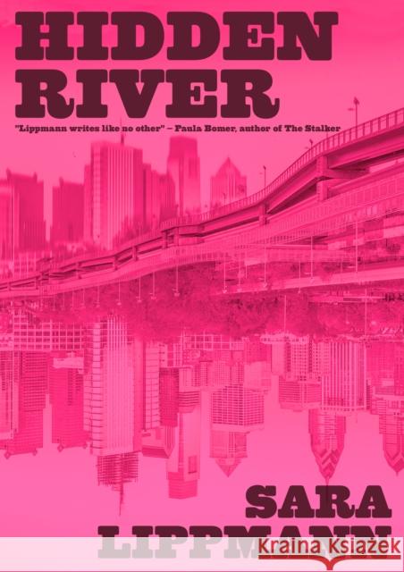 Hidden River Sara Lippmann 9781965199251