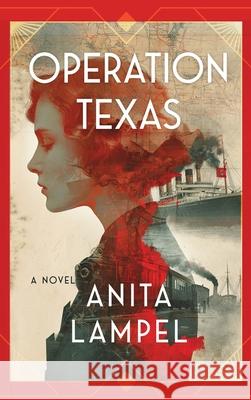 Operation Texas Anita Lampel 9781965253731 Dartfrog Books