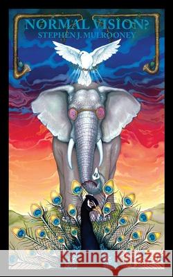 Normal Vision? Stephen J. Mulrooney 9781966476030