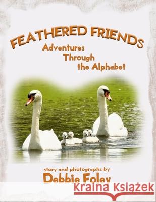 Feathered Friends: Adventures Through the Alphabet Debbie Foley 9781966675532 Solander Press