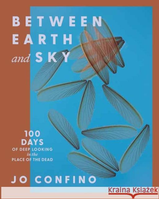 Between Earth and Sky: 100 Days of Deep Looking in the Place of the Dead Jo Confino 9781967175024 Parallax Press
