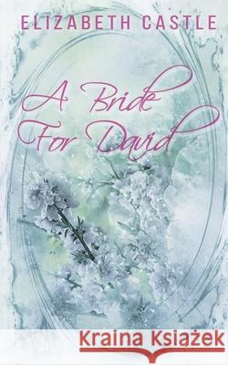 A Bride For David Elizabeth Castle 9781967731312 In the Air Publishing