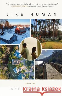 Like Human Janet Goldberg 9781968148041