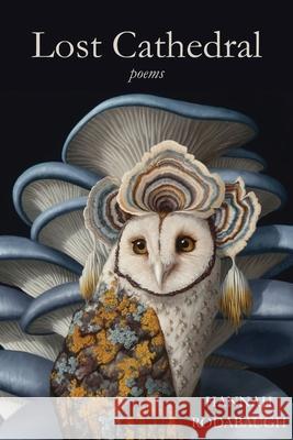 Lost Cathedral Hannah Rodabaugh 9781968148164