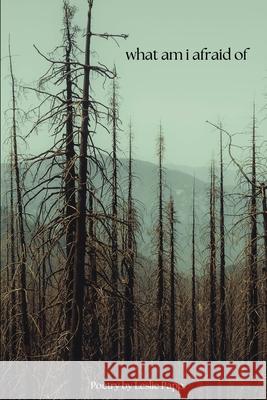 what am i afraid of Leslie Papp 9781968226060