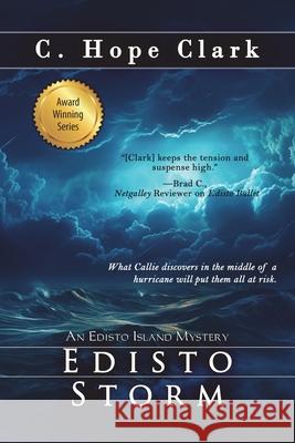 Edisto Storm: Book 12 in the Edisto Island Mysteries C. Hope Clark 9781968423223