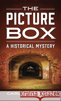 The Picture Box: A Historical Mystery Carlo Armenise 9781968750084