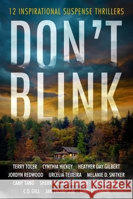 Don't Blink Terry Toler Cynthia Hickey Heather Day Gilbert 9781968792145