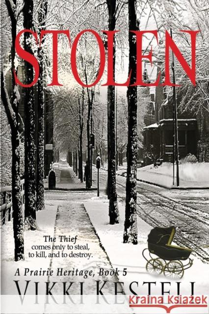 Stolen Vikki Kestell   9781970120080 Vikki Kestell