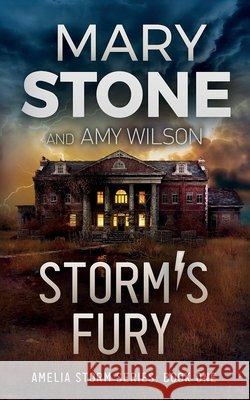 Storm's Fury Mary Stone Amy Wilson 9781972290293 Mary Stone Publishing