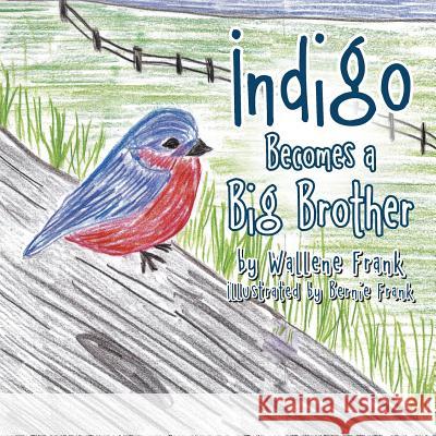 Indigo Becomes a Big Brother Wallene Frank 9781973608363 WestBow Press
