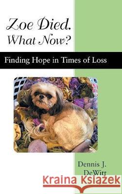 Zoe Died. What Now?: Finding Hope in Times of Loss Dennis J. DeWitt 9781973630685