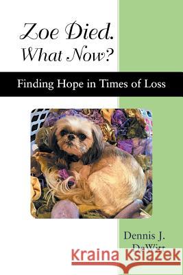 Zoe Died. What Now?: Finding Hope in Times of Loss Dennis J. DeWitt 9781973630692