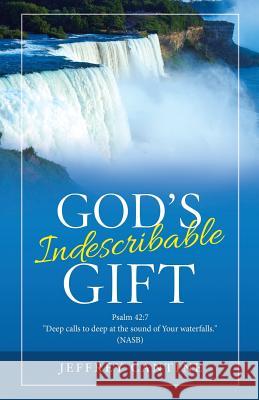 God's Indescribable Gift Jeffrey Cantine 9781973647645 WestBow Press
