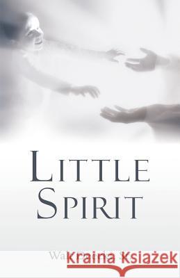 Little Spirit Walt Deeck 9781973662495 WestBow Press