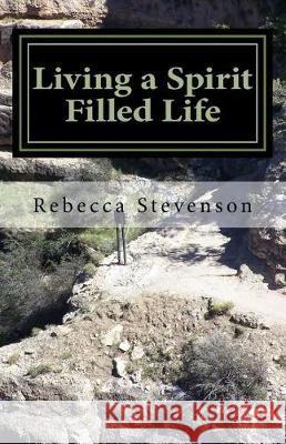 Living a Spirit Filled Life: Help for the Path You Are Traveling MS Rebecca C. Stevenson 9781973826774