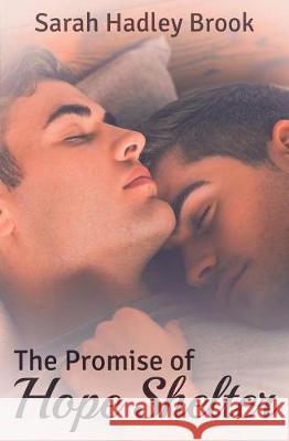 The Promise of Hope Shelter Sarah Hadley Brook 9781973851585 Createspace Independent Publishing Platform