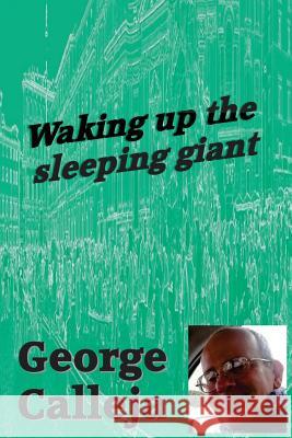 Waking Up The Sleeping Giant Calleja, George 9781973859031 Createspace Independent Publishing Platform