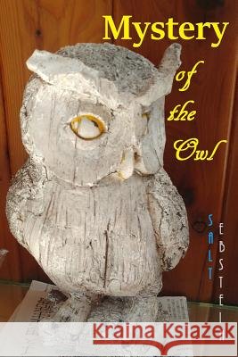 Mystery of the Owl J. Montgomery Salt Ebstein 9781973859499 Createspace Independent Publishing Platform