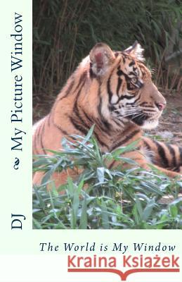 My Picture Window Deborah D. Johnson 9781974024391 Createspace Independent Publishing Platform