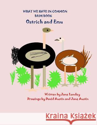 Ostrich and Emu: What We Have in Common Brim Book Jane Landey David Austin David Austin 9781974316175 Createspace Independent Publishing Platform