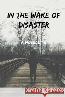 In the Wake of Disaster Cheree' Noel 9781974359868 Createspace Independent Publishing Platform