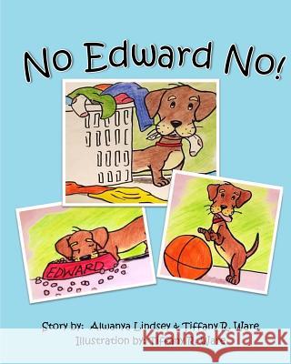 No Edward No! Alwanya Lindsey Tiffany R. Ware 9781974444496