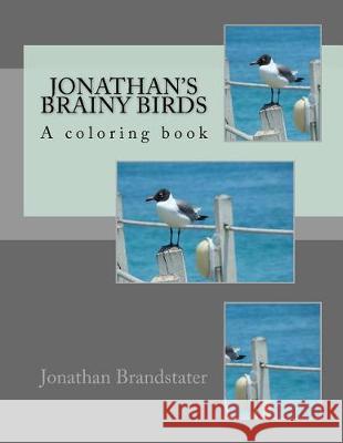 Jonathan's Brainy birds: A Coloring Book Brandstater, Jonathan Jay 9781974586950 Createspace Independent Publishing Platform