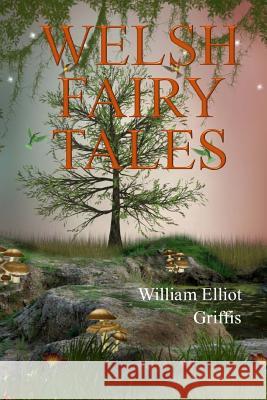 Welsh Fairy Tales William Elliot Griffis 9781974664733