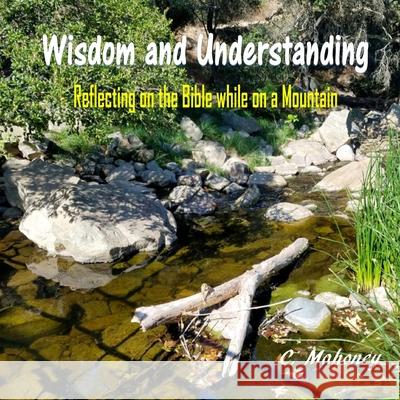 Wisdom and Understanding: Reflecting on the Bible while on a Mountain C. Mahoney 9781974668878 Createspace Independent Publishing Platform