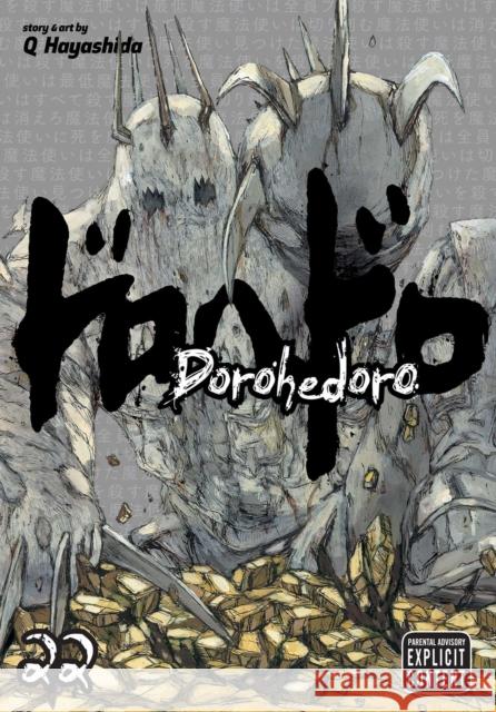 Dorohedoro, Vol. 22 Q Hayashida 9781974700233