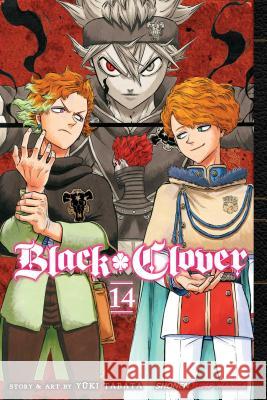 Black Clover, Vol. 14 Yuki Tabata 9781974702213