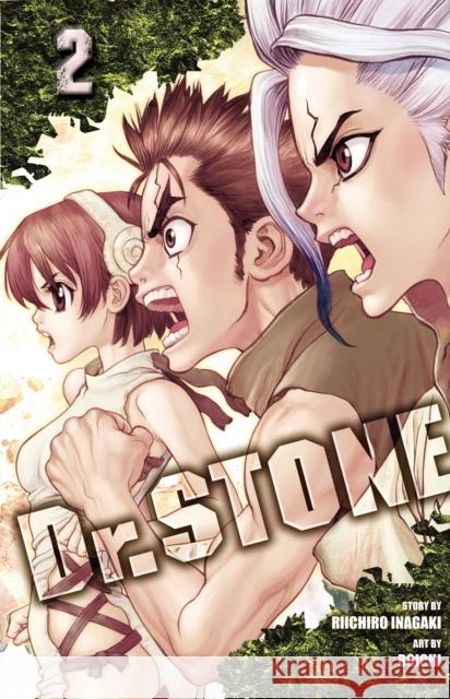 Dr. STONE, Vol. 2: Two Kingdoms Of The Stone World Riichiro Inagaki 9781974702626 Viz Media, Subs. of Shogakukan Inc