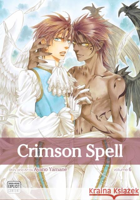 Crimson Spell, Vol. 6 Ayano Yamane 9781974707898